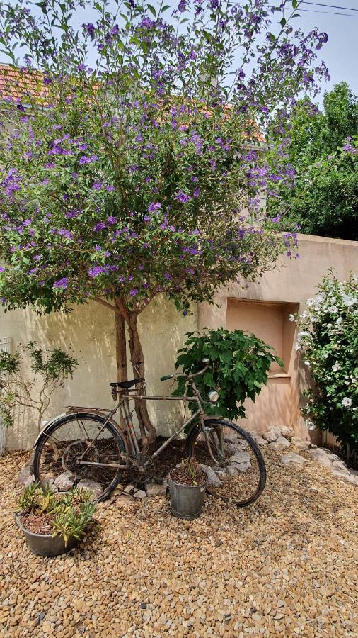 Gites "Tout Au Sud De La France" Pomerols ภายนอก รูปภาพ