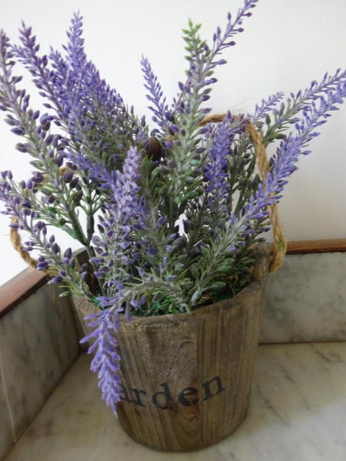 Gites "Tout Au Sud De La France" Pomerols ภายนอก รูปภาพ