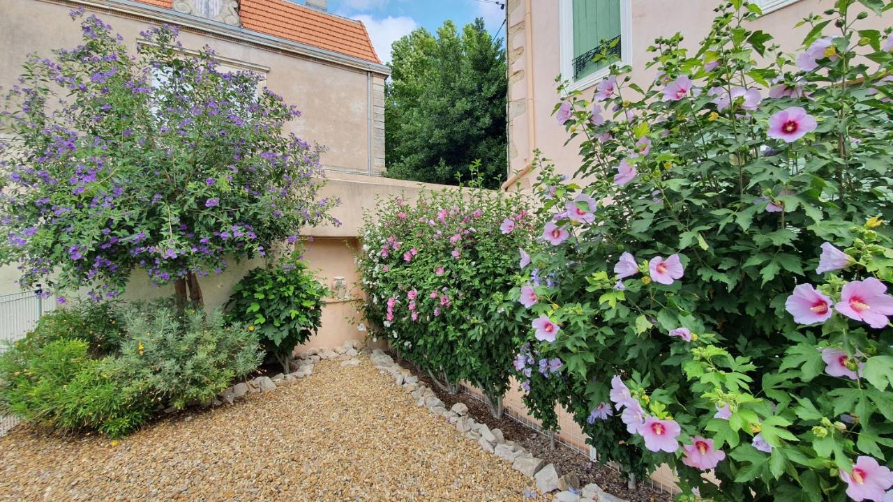 Gites "Tout Au Sud De La France" Pomerols ภายนอก รูปภาพ