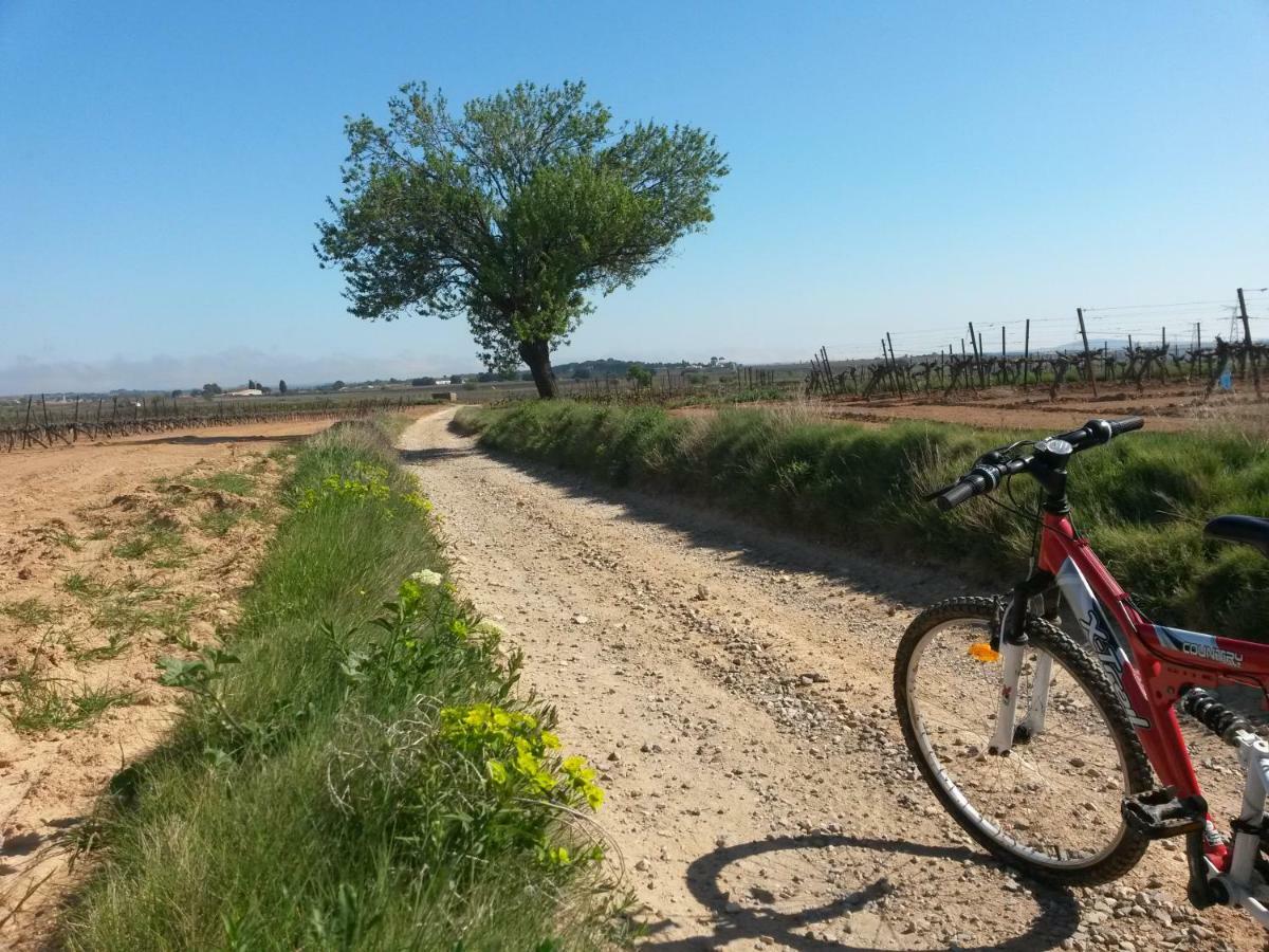 Gites "Tout Au Sud De La France" Pomerols ภายนอก รูปภาพ